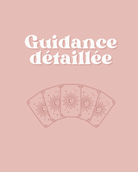 Guidance détaillée
